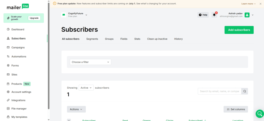Mailerlite Subscriber