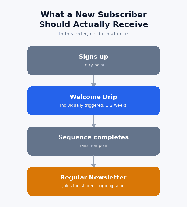 Drip Campaign vs Newsletter Subscriber