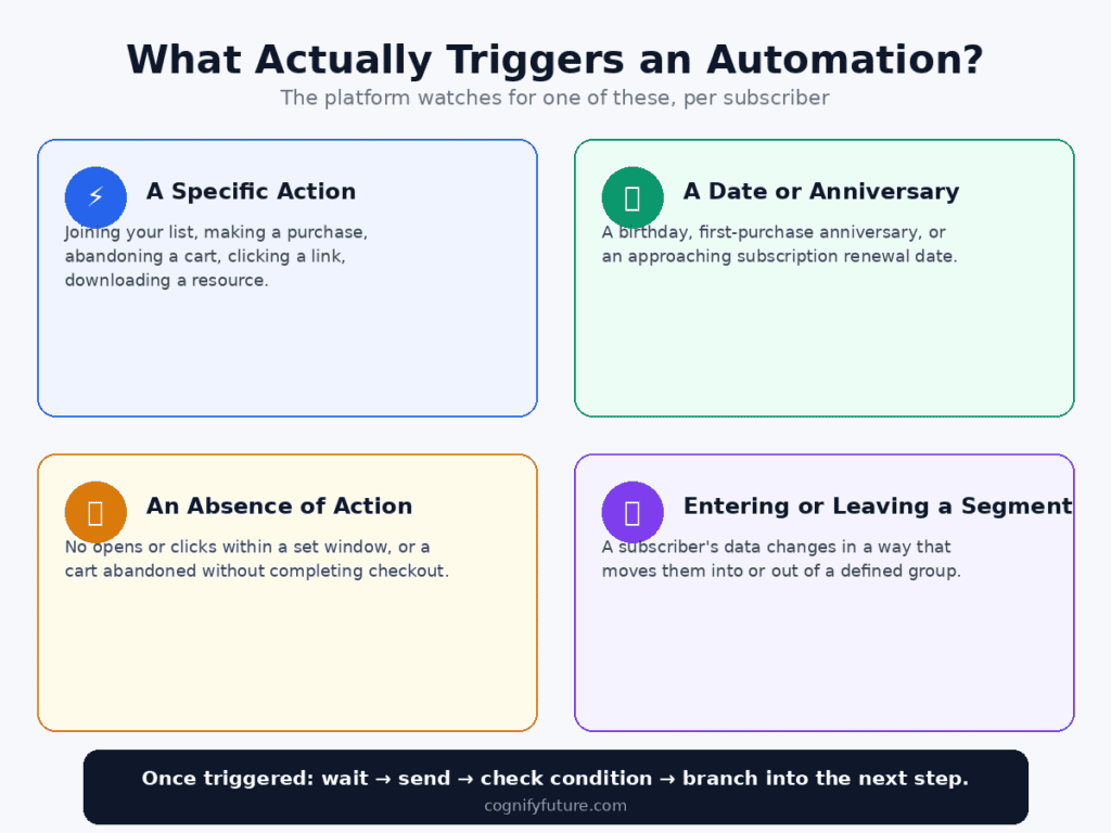 Email Automation Category